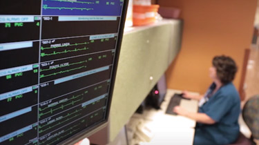 Information technology staff member looking at monitors